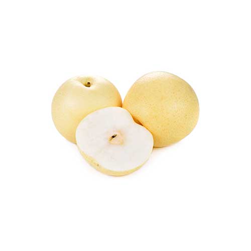 Asian Pear