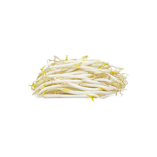 Bean Sprouts