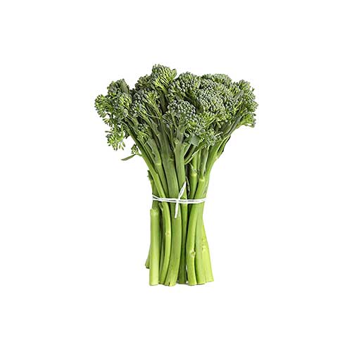 Broccolini