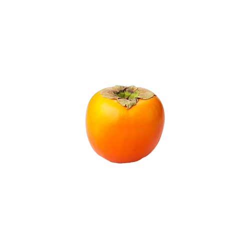 Hachiya Persimmon