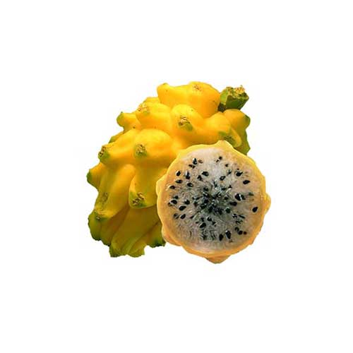 Yellow Dragon Fruit (Pitahaya)