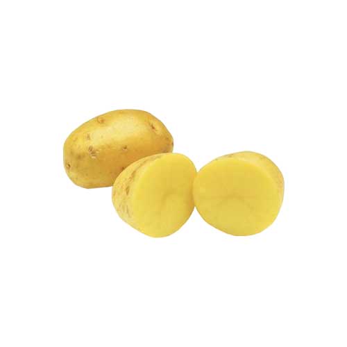 Yukon Gold Potatoes